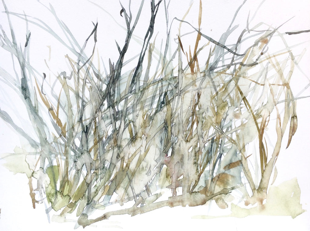 Frances Semple, Grass Series 4
