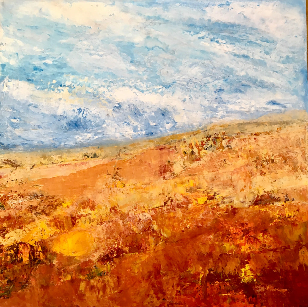 Irma Soltonovich, Openings