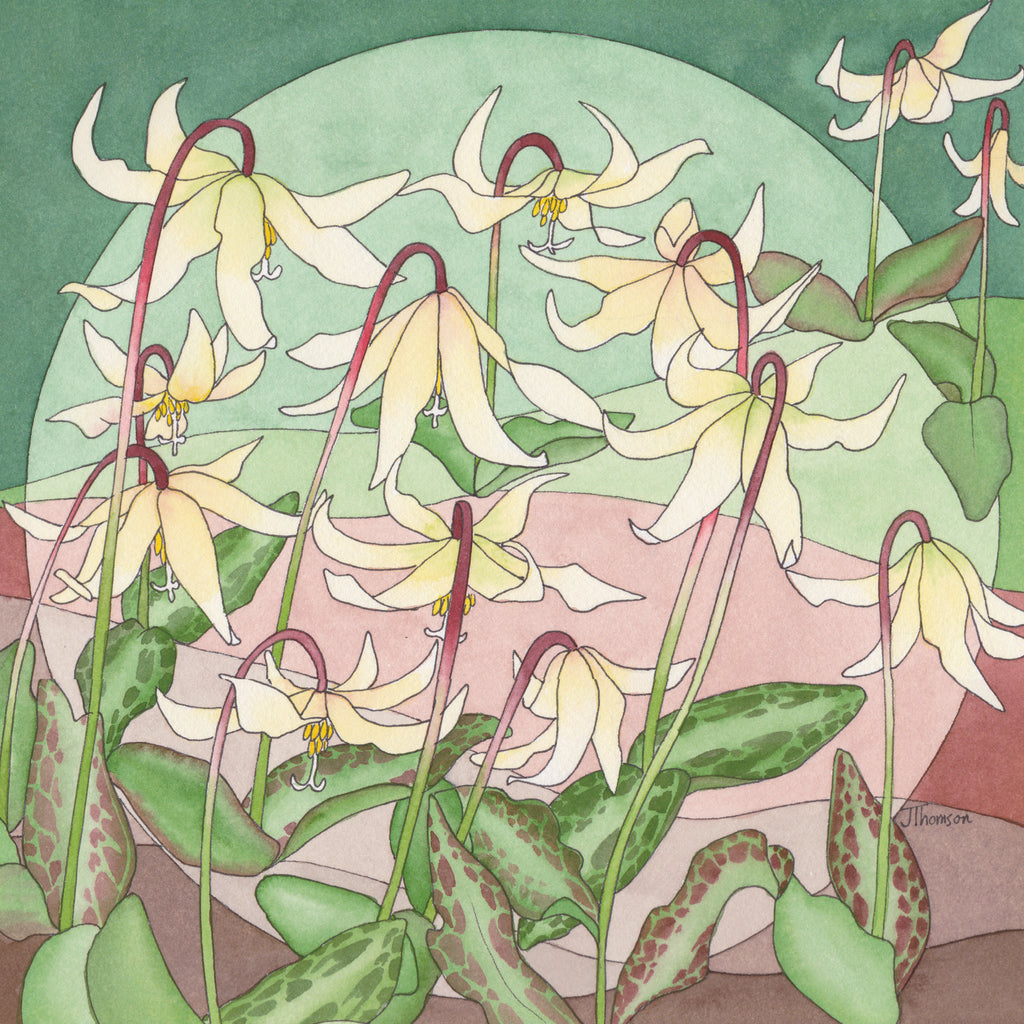 Joanne Thomson, Fawn Lily Mandala