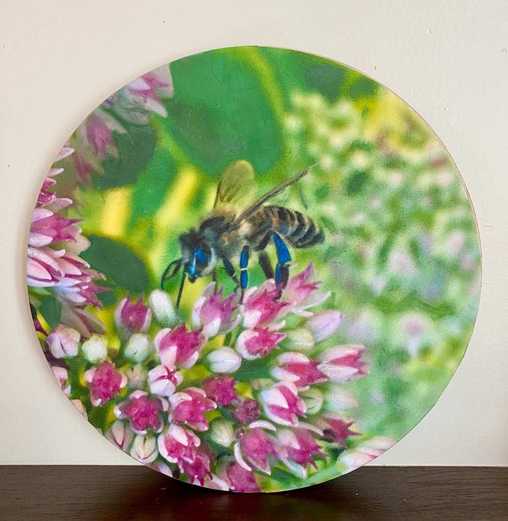 Johanne Hemond, Bee Kind Series 2
