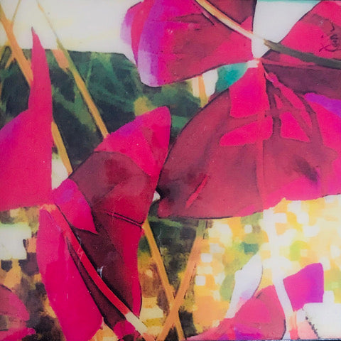 Karin Holdegaard, Waiting