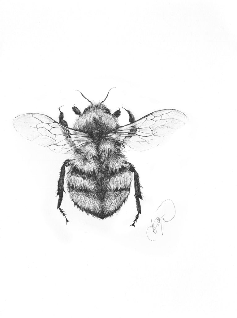 Marijn Andringa, Bombus