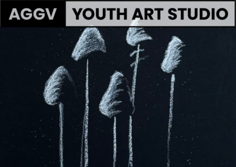 Summer Camp - Drawing From Art | Afternoons 1pm - 4pm | Aug 25 - Aug 29 | Ages 11-18