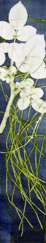 Carmen Mongeau, A Delicate Balance