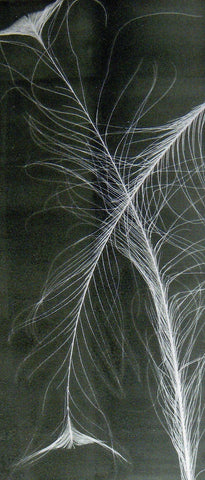 Carmen Mongeau, Pluma