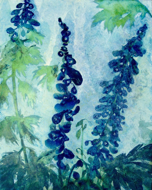 Chris Alers, Delphi Blue