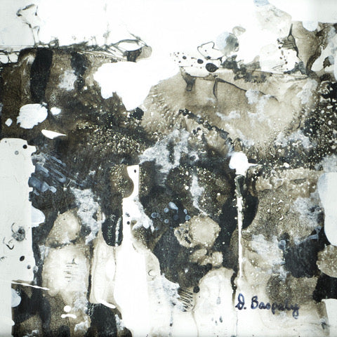 Donna Baspaly, Stones Beneath the Snow