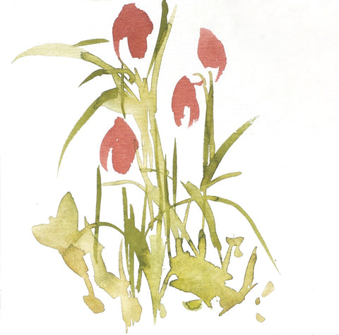 Frances Semple, Fritillaria Meleagris