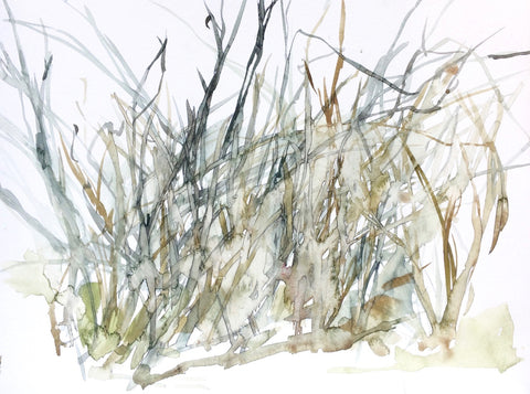 Frances Semple, Grass Series 4
