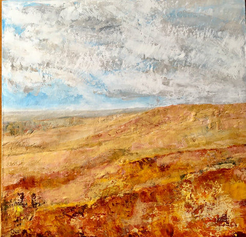 Irma Soltonovich, Openings