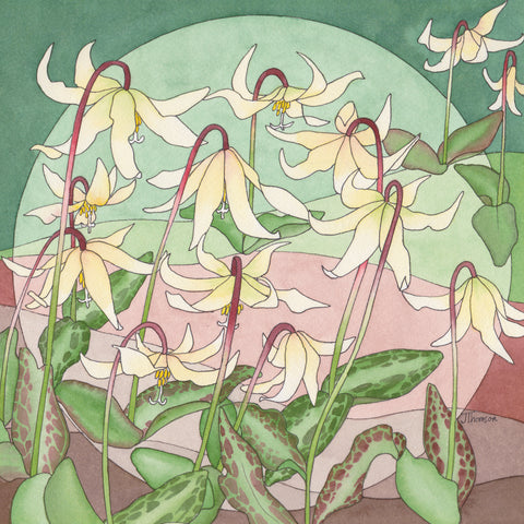 Joanne Thomson, Fawn Lily Mandala