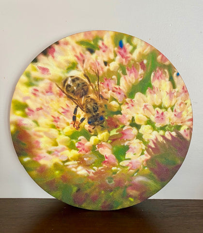 Johanne Hemond, Bee Kind Series 1