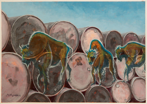 Judy Kujundzic, Buffalo Message