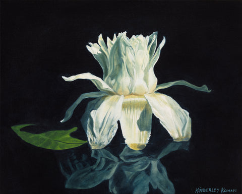 Kimberley Kohan, Elegance