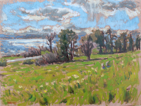 Max Parsons, Clouds and Daffodils