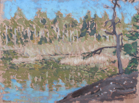 Max Parsons, Matheson Lake Bird Sanctuary