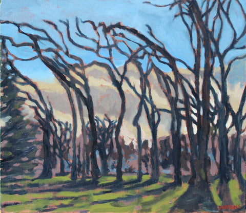 Maxwell Parsons, Garry Oak Meadow Sunrise