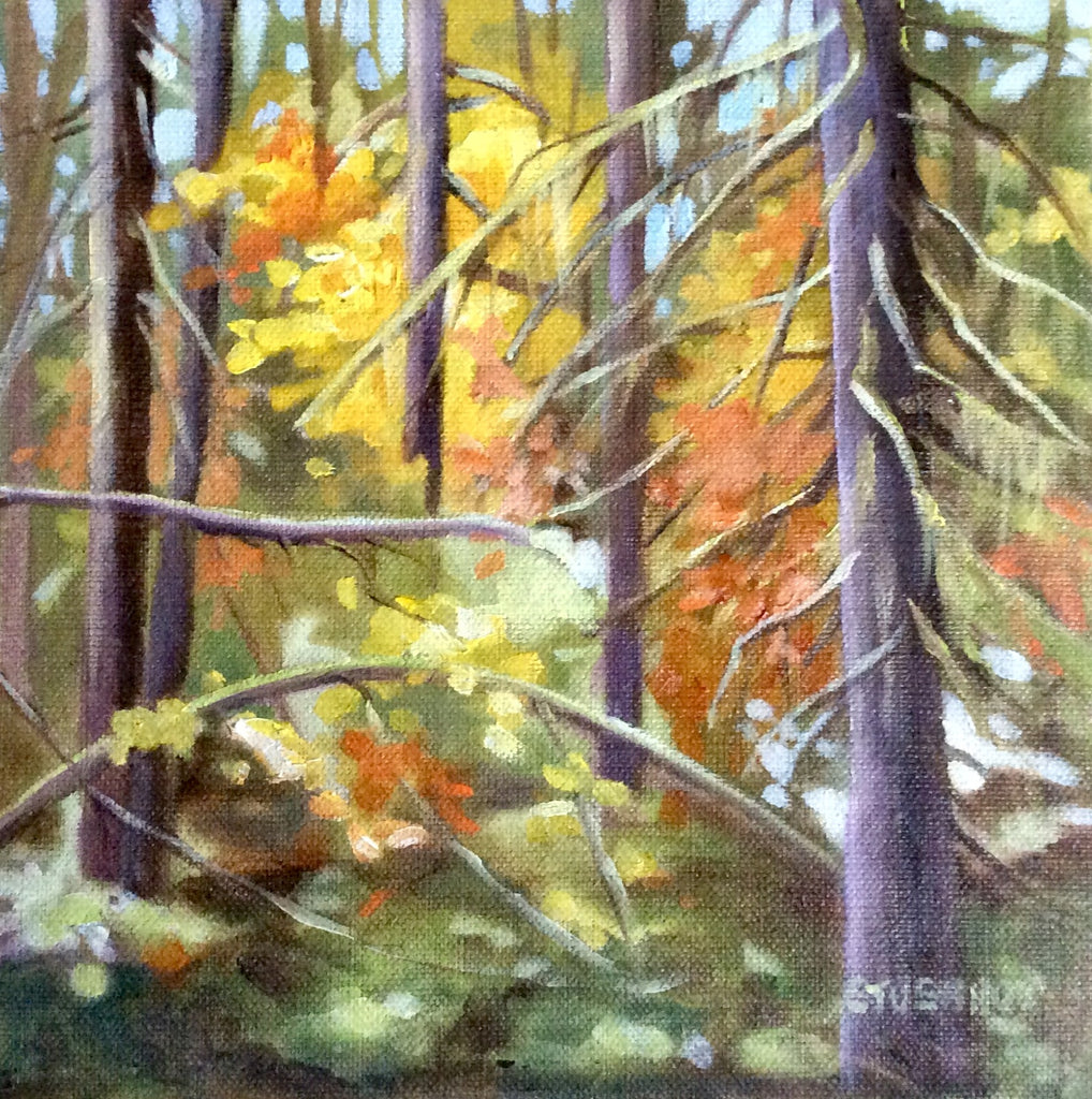 Sharlene Stushnov-Lee, Shades of Autumn Elk Falls