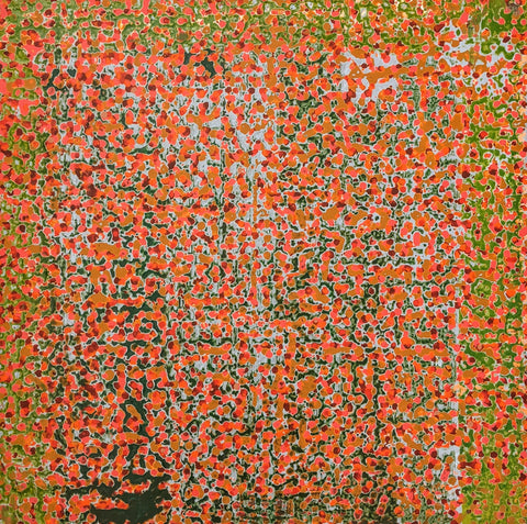 Trevor Youdale, Dreamroot